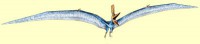 /album/fotos/pteranodonte-jpg/